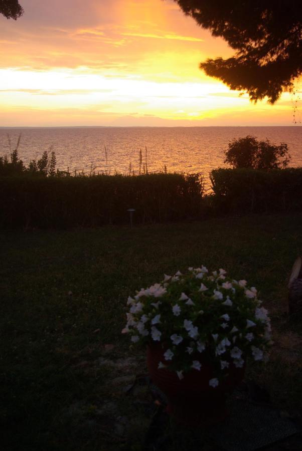Seafront Studio - Akti Elia Nikiti  Extérieur photo